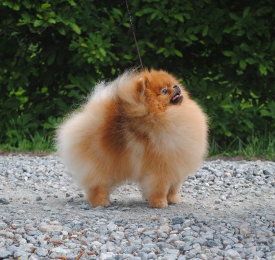 Kasian at 2 years old