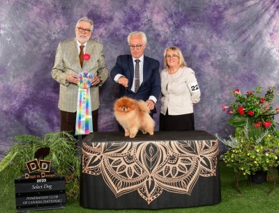 Aleks winning Award of Merit at the 2023 Canadian National.