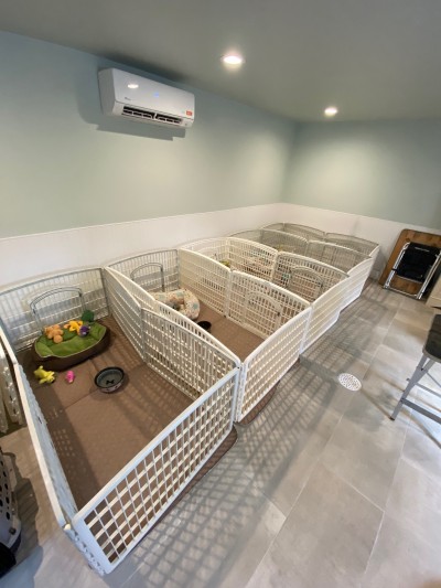 Our new 600 sqft kennel includes plenty of room for the poms to sleep and play, and a separate grooming room.
