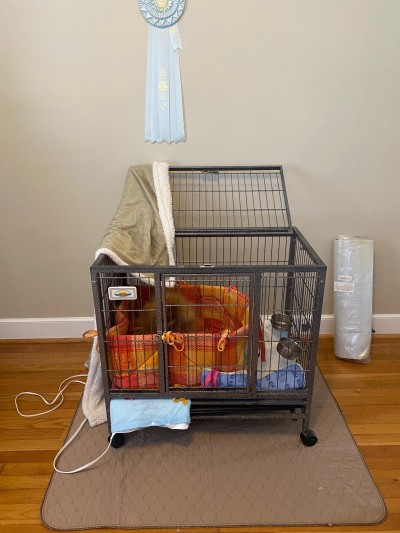 Our office doubles as a nursery