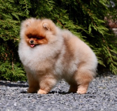 Marcella at 7mos old