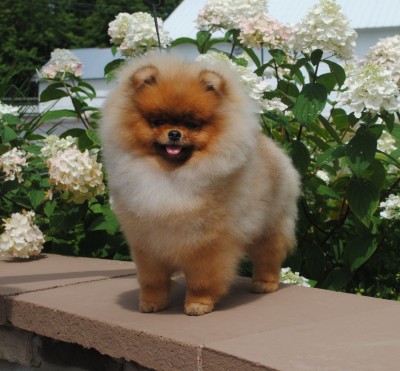 Marcella at 8mos old