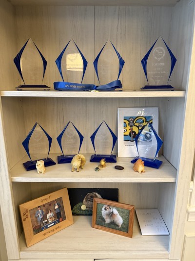 Just some of the awards won by our dogs adorning our dining room!