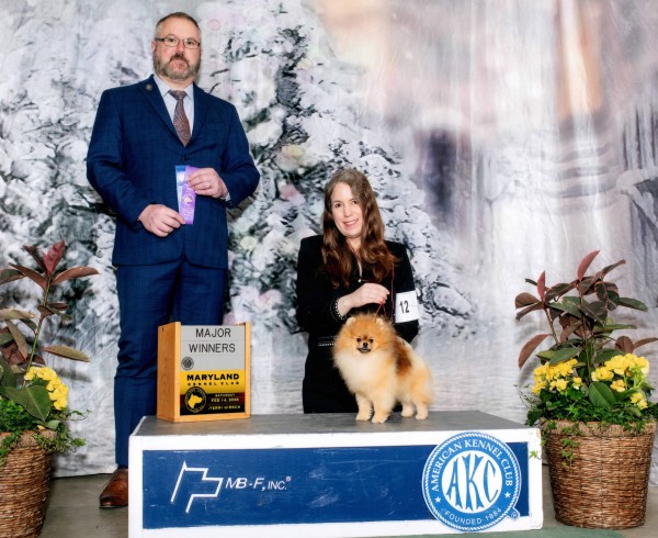 Ch. Silhouette's Skip In My Step (both majors)