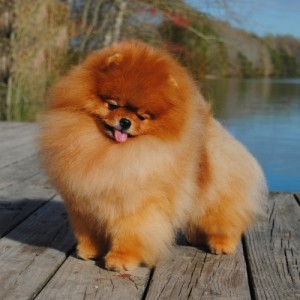 Mythical Easy As Heck