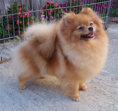 Adia at 2 1/2 years old