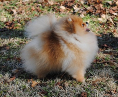 Chad at 7 1/2 yrs old