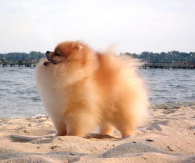 Chad at the beach at 6 years  old