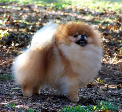 Chad at 2 1/2 years old