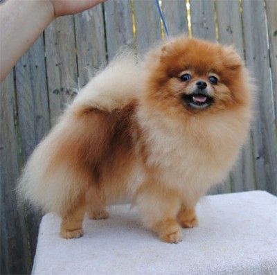 Roulette at 2yrs 9mos old