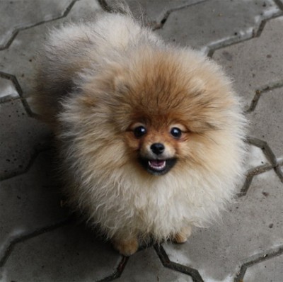 Roulette at 5 mos old