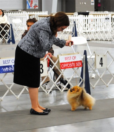 Darcy in the group ring