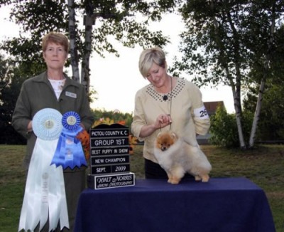 Darcy finishing his Canadian Championship by winning a Group 1st