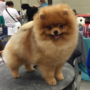 Jacinda's Bravo's My Girl Friday