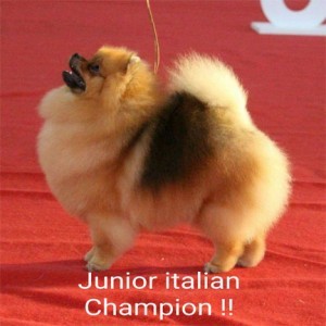 Traveling Miss De Myuris